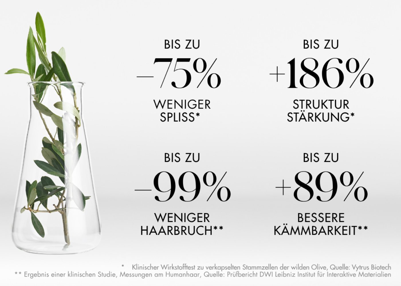 Friseur Linz - Wirkstoff wilde Olive